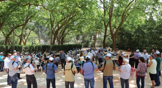 Passeio Sénior – Balanço da edição 2019