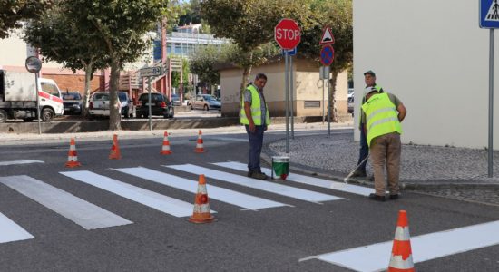 Município renova passadeiras junto às escolas do concelho