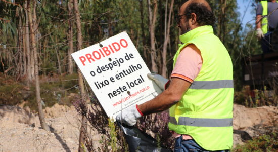 Lixo na Floresta, não!