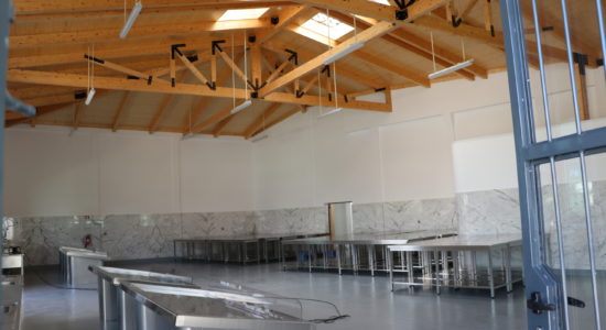 Mercado do Peixe reabre portas em breve na Vila de Freixianda