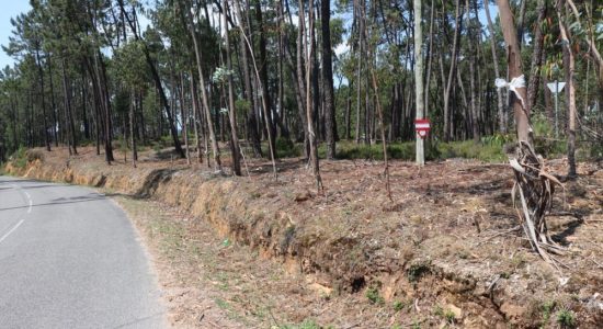 Regulamento Municipal de Uso de Fogo e de Limpeza de Terrenos