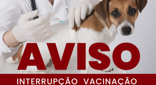 Interrupção da Campanha de Vacinação Antirrábica