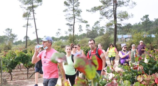 Caminhos D´ Ourém leva uma centena a percorrer Gondemaria e Olival