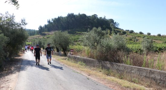 Caminhos D’Ourém | Nossa Senhora das Misericórdias