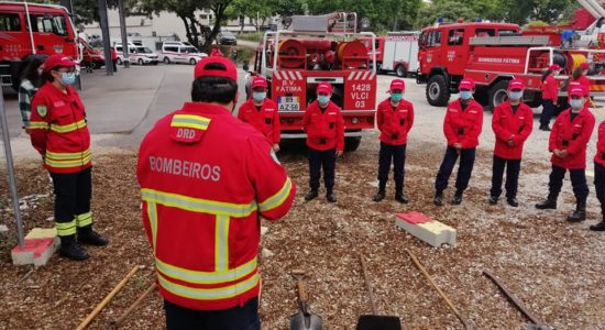 Apoio ao projeto da escola dos Bombeiros Voluntários de Fátima