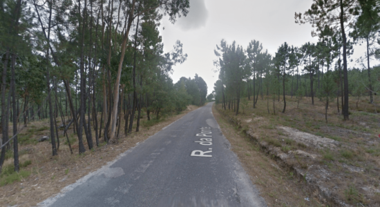 Estrada entre Estremadouro e Lameirinha vai ser requalificada