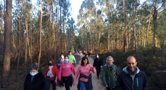 Caminhada – Dia Internacional da Mulher