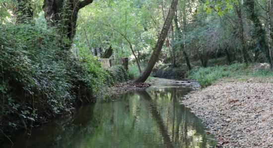 Município aprova proposta de protocolo para limpeza da Ribeira de Seiça