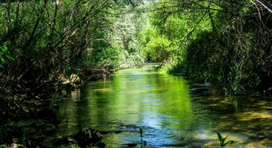 Projeto “Abraçar o Rio” Nabão terá apoio do Município de Ourém
