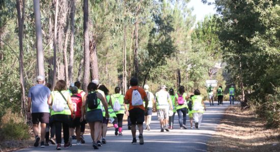 “Caminhos D’Ourém” – Seiça