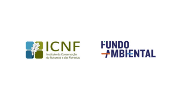 Câmara aprova contratos-Programa com Fundo Ambiental e ICNF