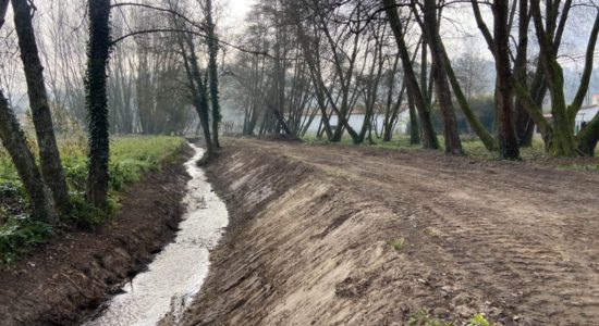 Município vai promover restauro de linhas de água afetadas pelos incêndios em Freixianda, Urqueira e Espite