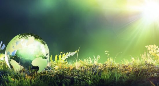 Proposta de Plano Municipal de Ação Climática – Aprovação de parecer