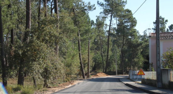 Câmara aprovou concurso para beneficiação de ruas em Caxarias