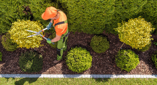 Município lança concurso para manutenção de espaços verdes