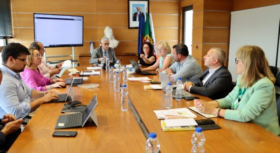 Declarações – Reunião de Câmara de 17 de junho