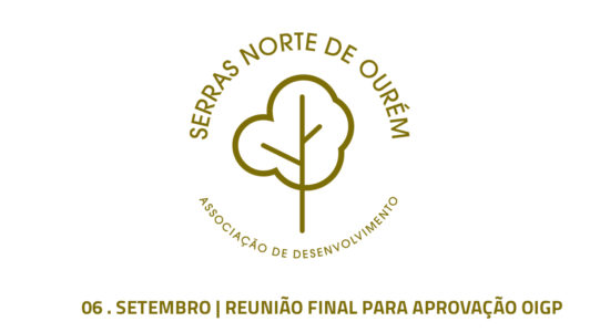 Reunião final para votação da OIGP – 6 de setembro – Espite