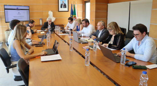 Declarações | Reunião de Câmara de 16 de junho
