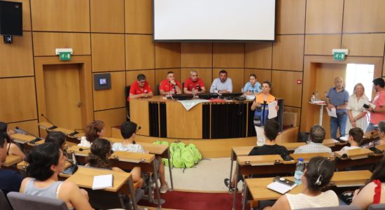 Voluntariado Jovem pela Floresta já arrancou em Ourém
