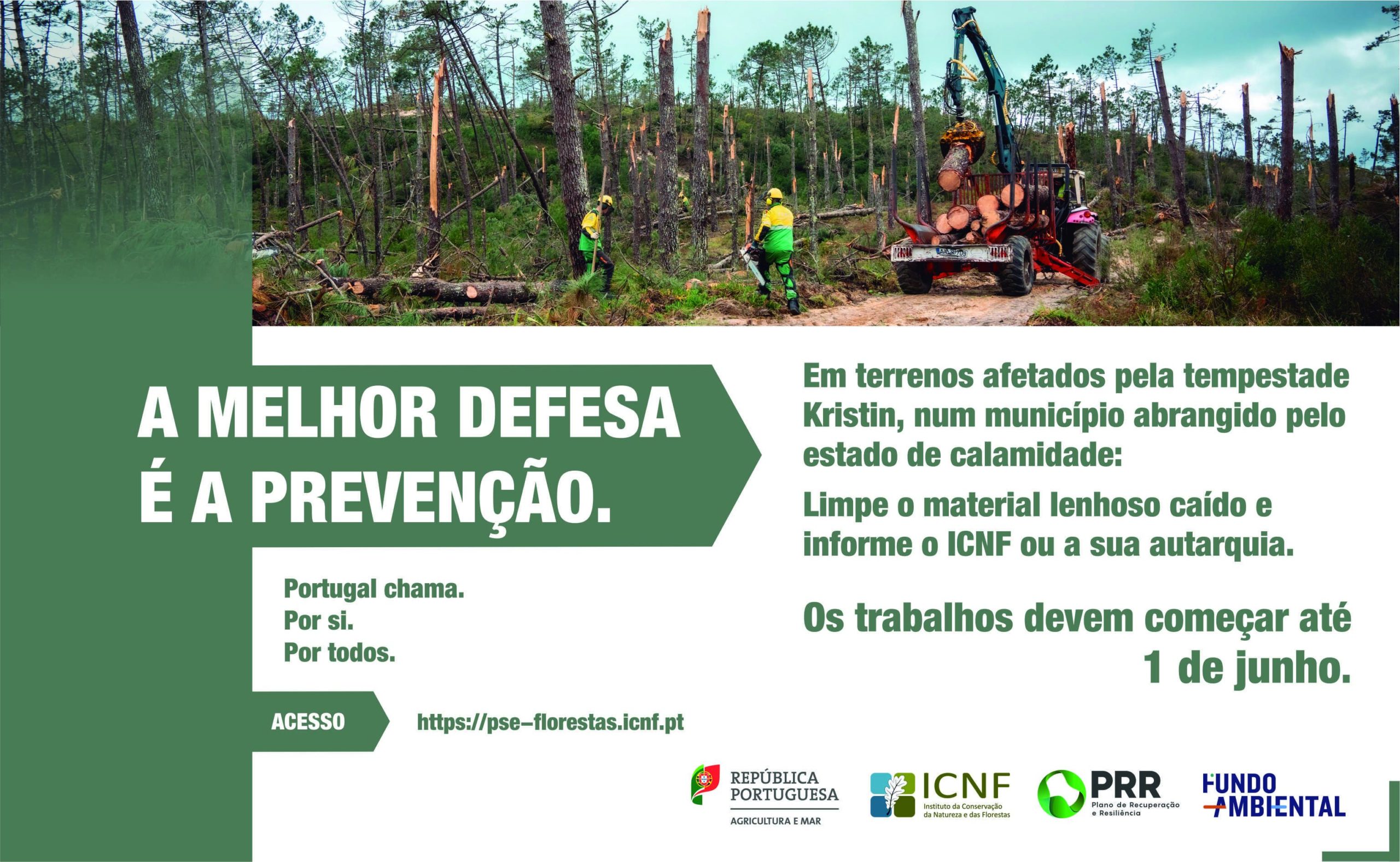 ICNF